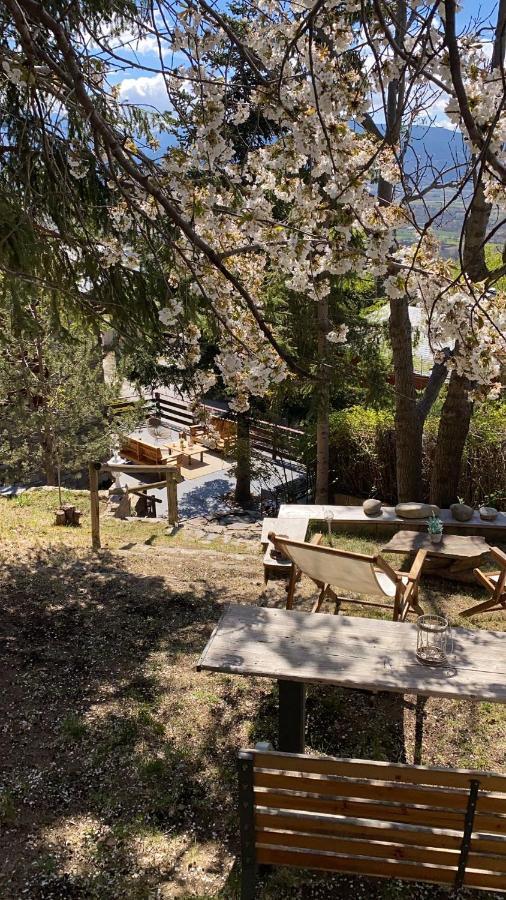 Pura Vida Villa Estavar Bagian luar foto
